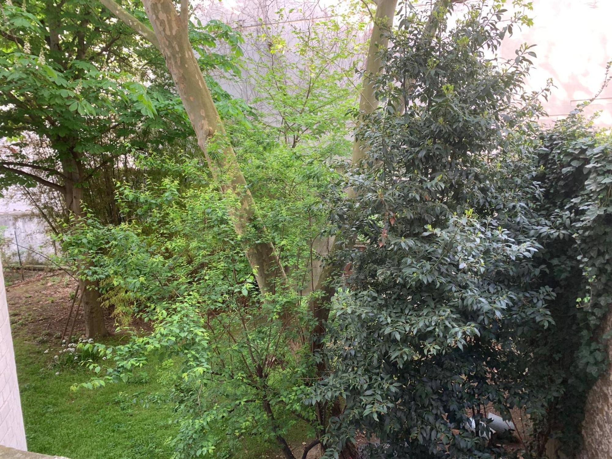 Charmant Studio Pere Lachaise Παρίσι Εξωτερικό φωτογραφία
